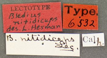 Media type: image;   Entomology 6532 Aspect: labels